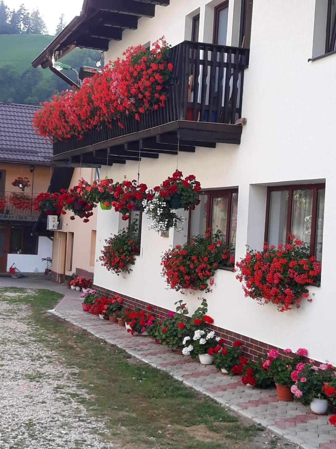 Hotel Casa Flavius à Bran  Extérieur photo
