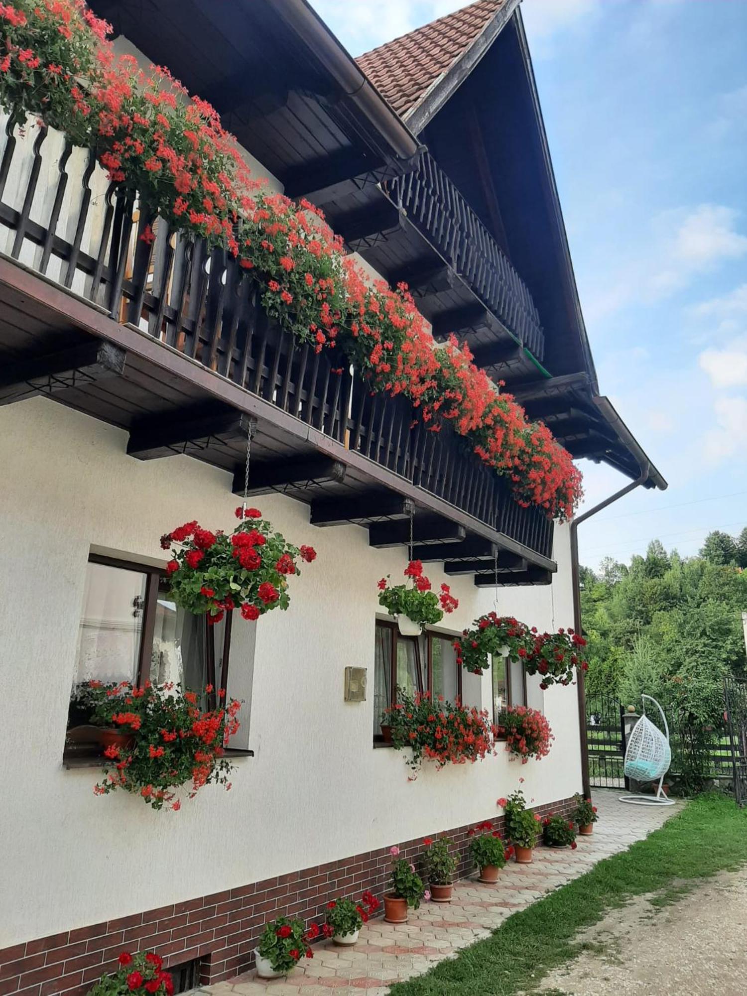 Hotel Casa Flavius à Bran  Extérieur photo